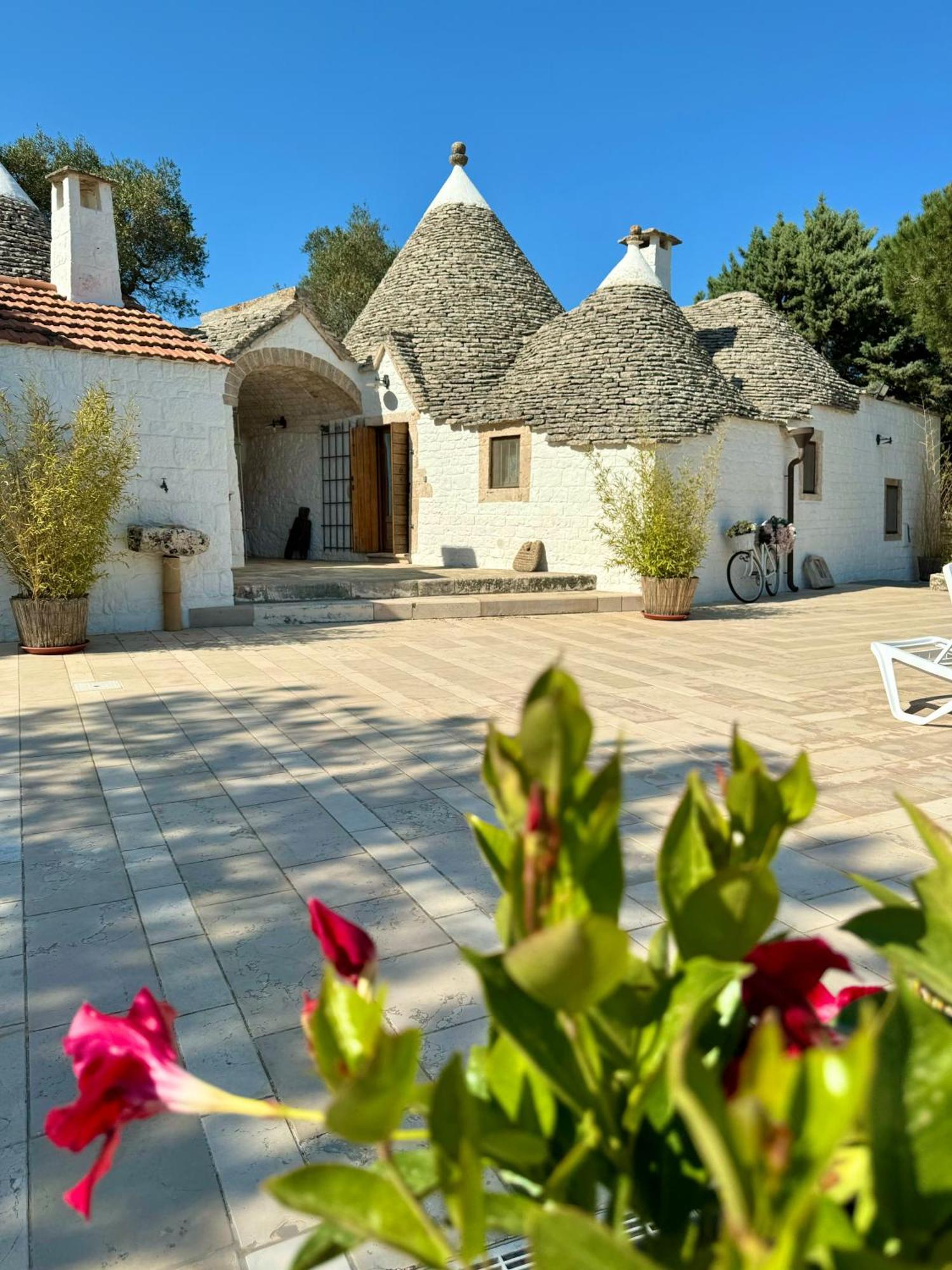 Trulli Bosco Selva Apartamento Alberobello Exterior foto