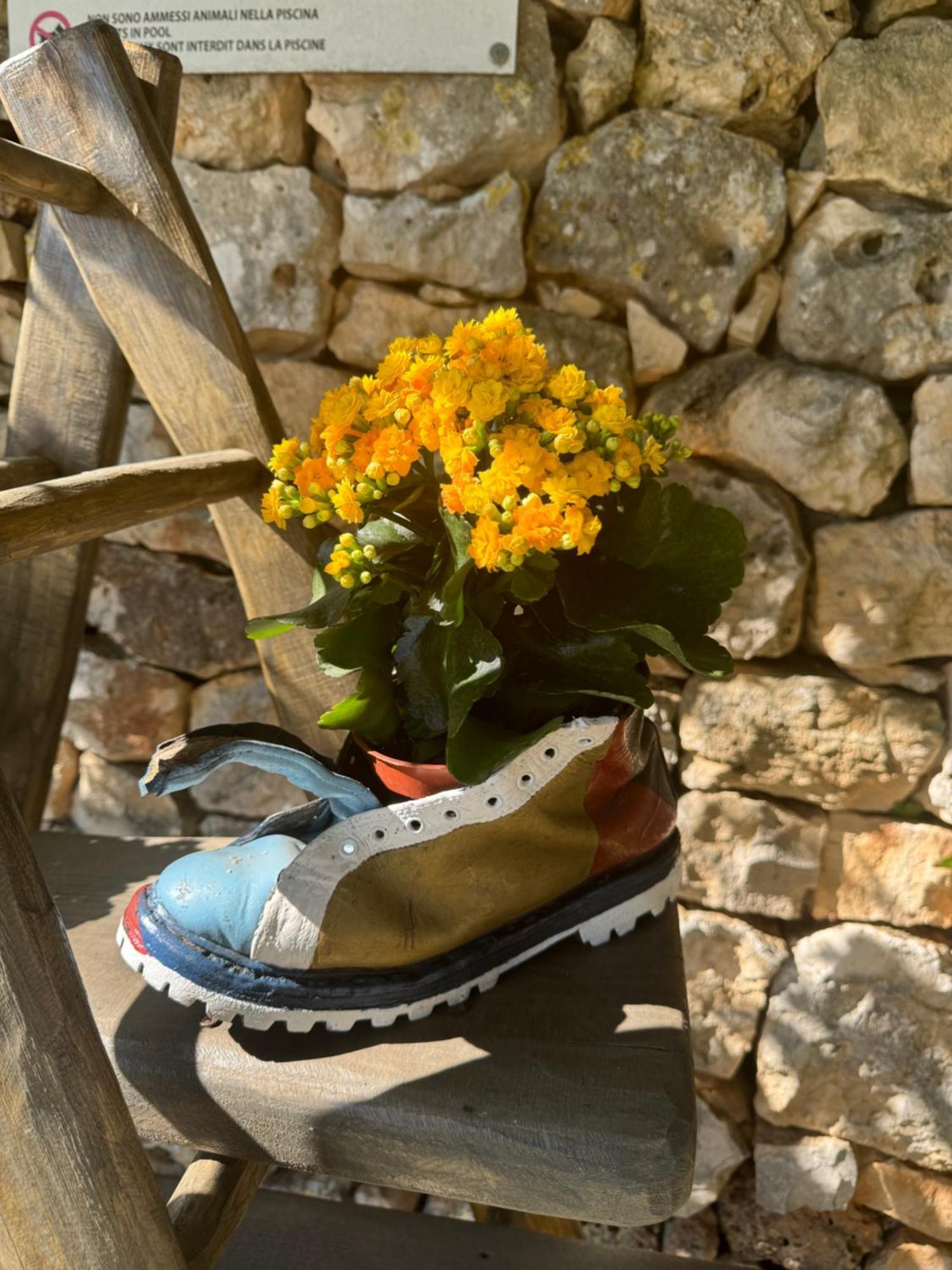 Trulli Bosco Selva Apartamento Alberobello Exterior foto